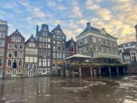 Grasshopper restaurant