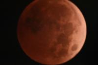 Composite image of a Lunar Eclipse